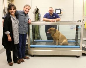 Cayenne w Terry Woody and Dave. resizedjpg Cayenne w Terry Woody and Dave. resizedjpg